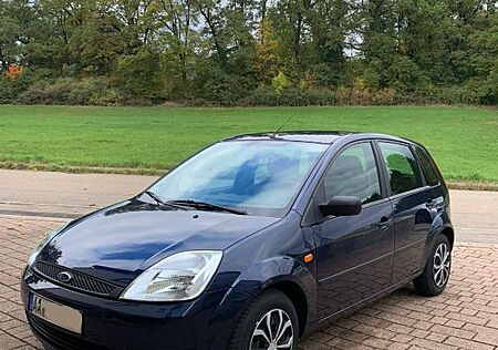 Ford Fiesta 1,3 44 kW Blues Blues