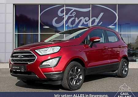 Ford EcoSport Cool & Connect #Winterpaket