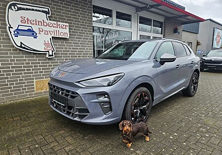 Cupra Terramar 2.0 TSI DSG 4Drive AHK Pano STHZ Garant