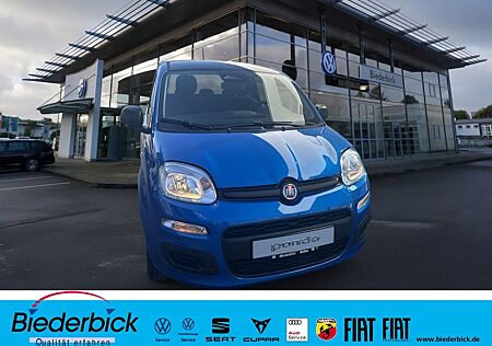 Fiat Panda 1.0 Mild Hybrid Pandina Pop (EURO 6e)