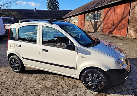 Fiat Panda 1.2 8V Dynamic*HU/AU neu 11/2026*Panoramad