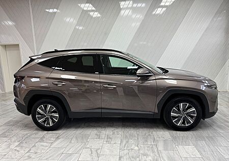 Hyundai Tucson 1.6 Hybrid Trend Navi Assist 8x bereift