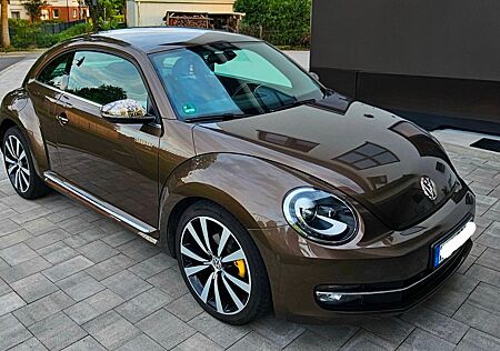 VW Beetle Volkswagen neu St.kette + Bremsen + Xenon + 8 Reifen