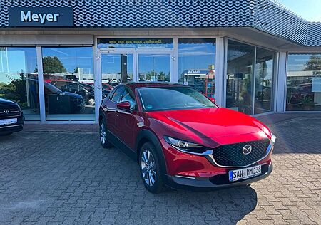 Mazda CX-30 L SKYACTIV-G 2.0 M Hybrid 6AG AL-SELECTION