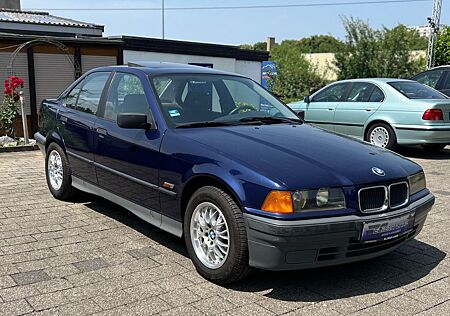 BMW 316i *TÜV*S-DACH*8-fach bereift*