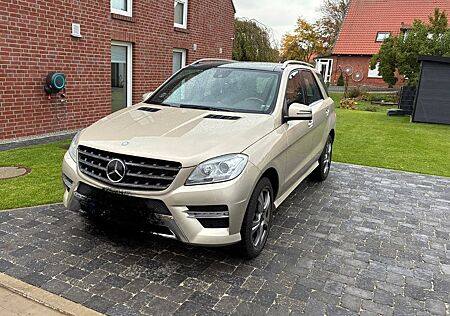Mercedes-Benz ML 350 4MATIC BlueEFFICIENCY Edition 1