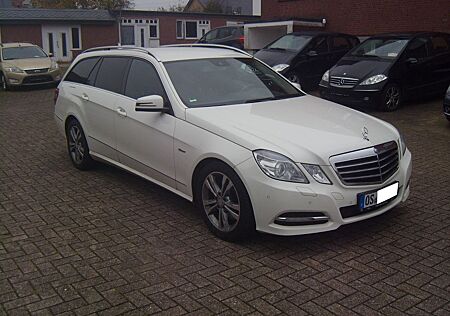 Mercedes-Benz E 250 E 250T CDI Avantgarde+Navi+AHK+SHZ