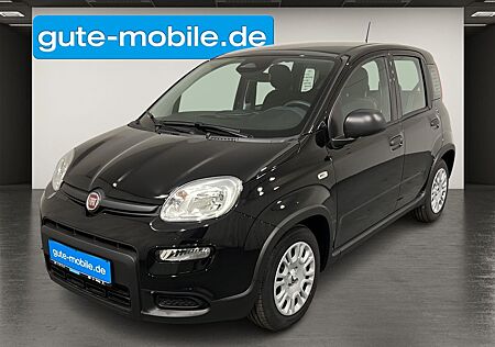 Fiat Panda Pandina 1.0 Hybrid | Digitaler Tacho | PDC