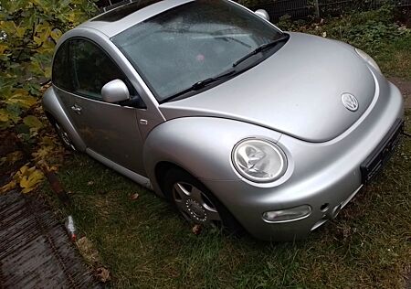 VW Beetle Volkswagen