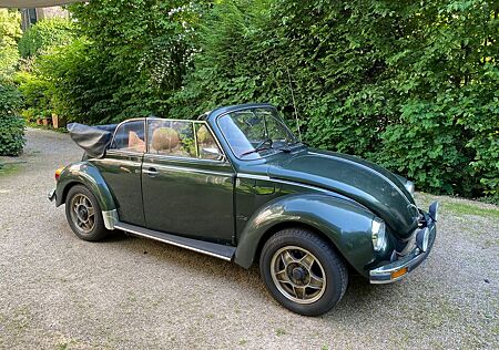 VW Käfer Volkswagen