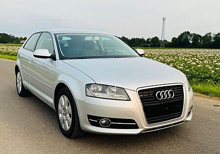 Audi A3 1.6 L-Tüv und Service neu-Klimaautomatik-Top-