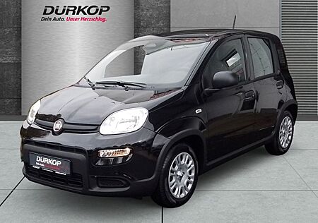 Fiat Panda 1.0 PDC Klimaanlage el. Fenster el. Spiege