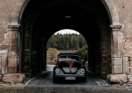 VW Käfer Volkswagen