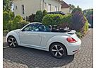 VW Beetle Volkswagen 1.2 TSI BMT Cabriolet -Klima, Rückfahrkam