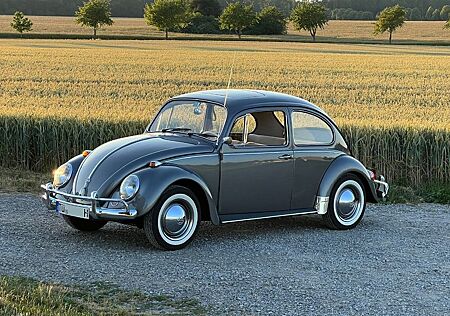 VW Käfer Volkswagen