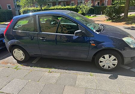 Ford Fiesta 1,3 44 kW Viva Viva