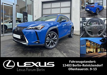 Lexus UX UX250h Style Edition * Navi * Winterräder *