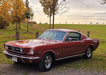 Ford Mustang 1966 Fastback V8