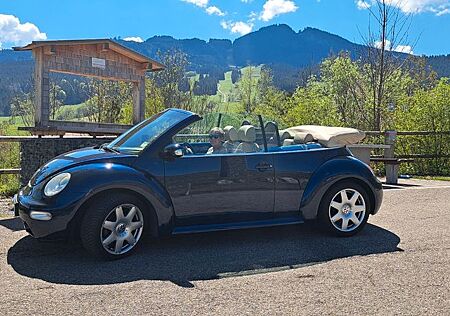 VW Beetle Volkswagen