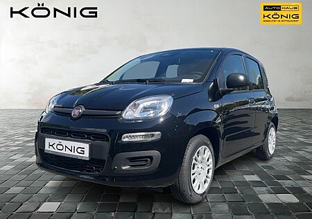 Fiat Panda MY25 1.0 70PS Eurostar Klima PDC