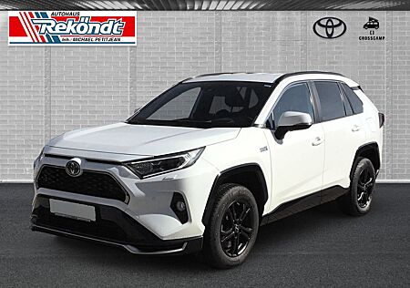 Toyota RAV 4 2.5 Plug-in Hybrid 4x4 SEGEBERG Kamera SHZ