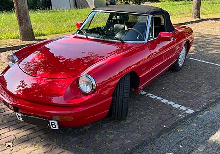 Alfa Romeo Spider