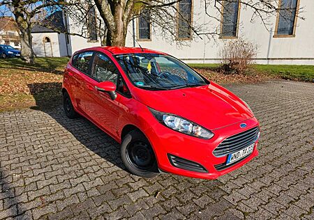 Ford Fiesta Fronth.Sitzh. / Öl Zahnriemen Verschleißt. NEU!!