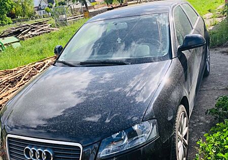 Audi A3 1.6 TDI (DPF) 77kW Ambition Ambition