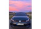 VW Golf Volkswagen GTI Performance 2.0 DSG+Standheizung,Pano..