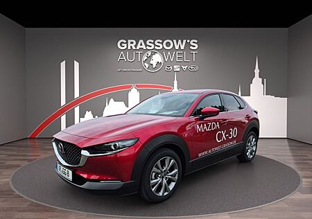 Mazda CX-3 CX-30 Exclusive-Line/MATRIX-LED/BOSE/360°