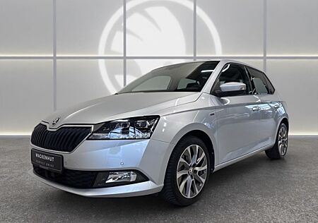 Skoda Fabia CLEVER 1.0l TSI ACC+DSG+PDC+AMUNDSEN+SPURW