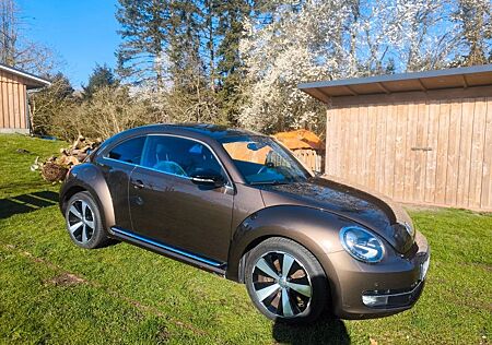 VW Beetle Volkswagen 2.0 TDI Sport Sport