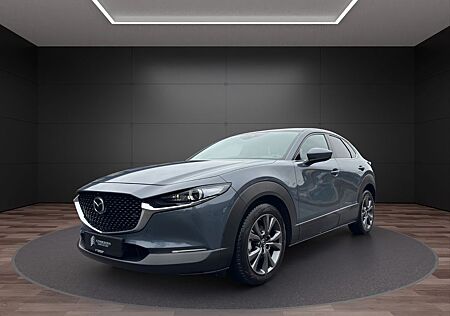 Mazda CX-30 l 360° Kam l Hd-Up l Totw. l Sitzh. l Navi