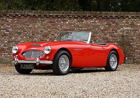 Austin Healey 100-6 "A fast tour-special" "A fast tour-special