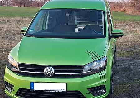 VW Caddy Volkswagen mit Hundeboxen, 1,0TSI 75kW 5-Sitze
