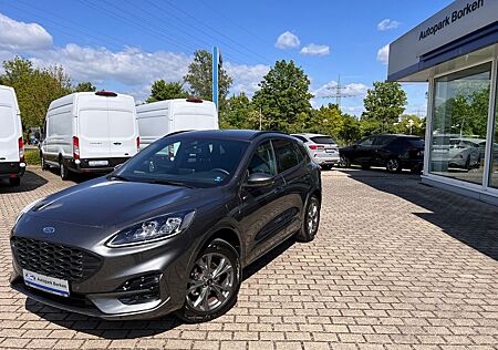 Ford Kuga Plug-In Hybrid ST-Line X AHK Winter Paket