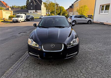 Jaguar XF 3.0 V6 155kW Diesel Premium Luxury Premiu...