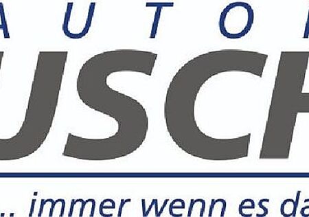 Ford Transit Kasten E 350 L3 Trend