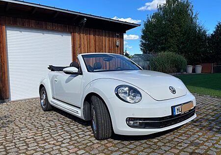 VW Beetle Volkswagen 1.2 TSI CUP Cabriolet CUP - 1. Hand