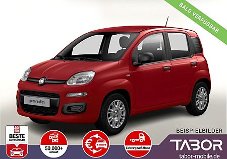 Fiat Panda MHEV 70 5"-DAB Temp PDC DigCo LaneA 5-Sitz