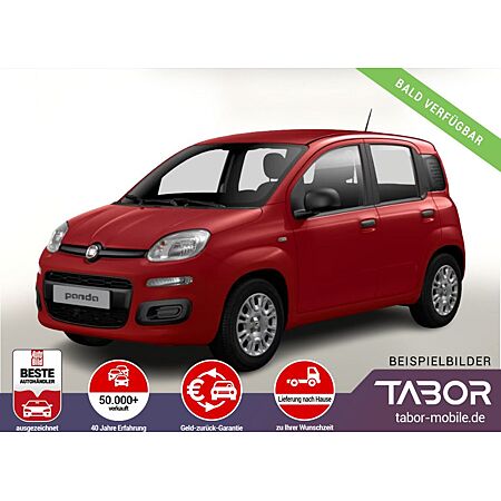 Fiat Panda leasen