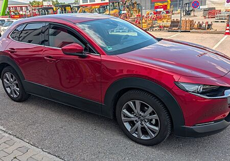 Mazda CX-30 2.0 e-SKYACTIV-G M-Hybrid 150 Homura H...