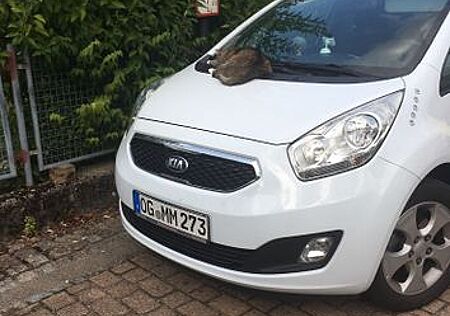 Kia Venga 1.6 CVVT Dream-Team Dream-Team