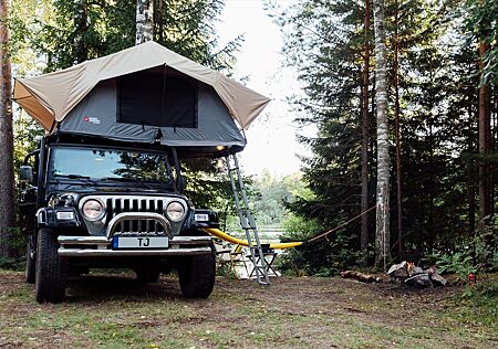 Jeep Wrangler TJ 4.0 Sahara TÜV,rostarm,Overlanding