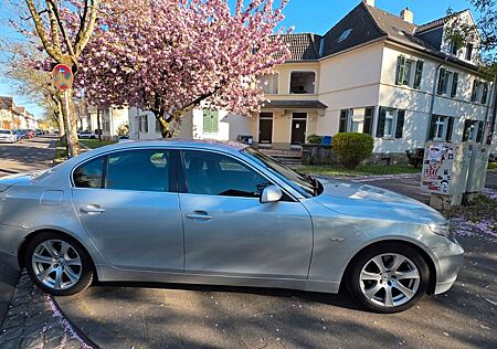 BMW 523i - TÜV Neu! 8FACH bereift