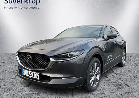 Mazda CX-30 2.5L e-SKYACTIV G Exclusive-Line +BOSE+Nav