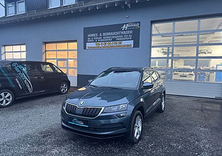 Skoda Karoq Ambition 4x4 DSG Navi AHK Cam ACC PDC APP