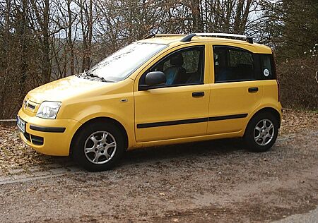 Fiat Panda (169AXF1A) 69 PS gelb