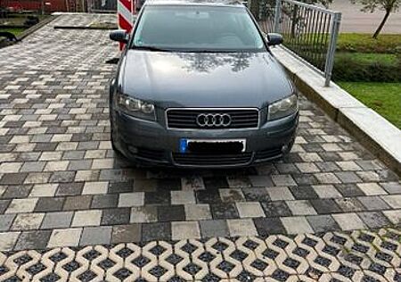 Audi A3 8P 1.6 Ambition