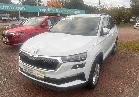 Skoda Karoq Selection inkl Allwetterräder
